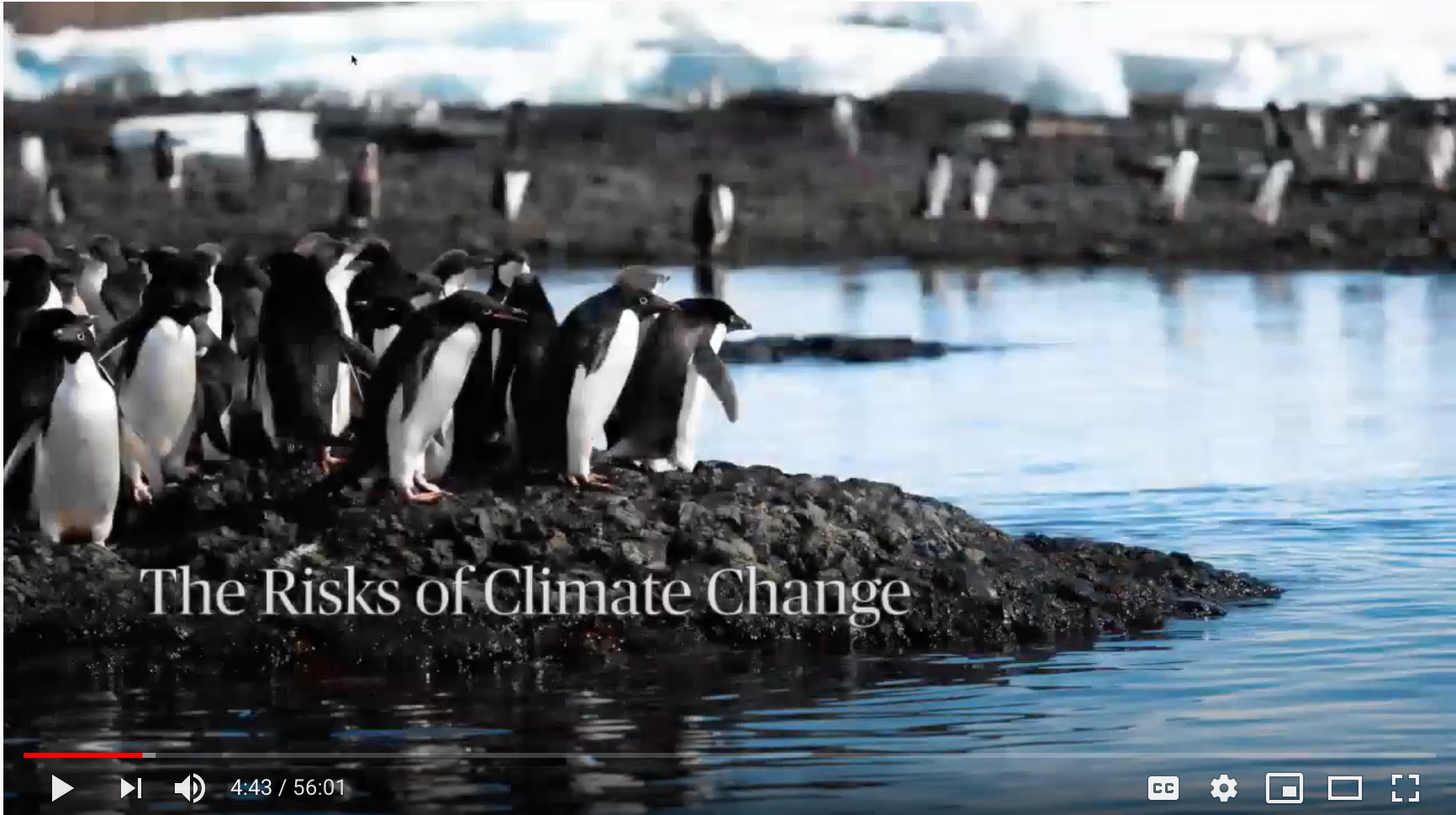 Risks of Climate Change