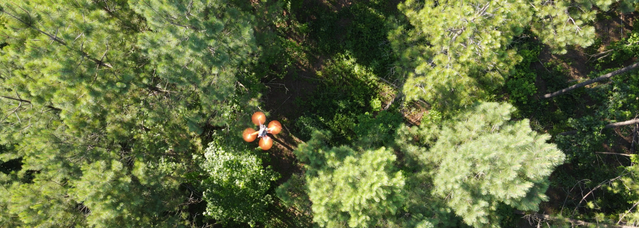 Treeswift drone
