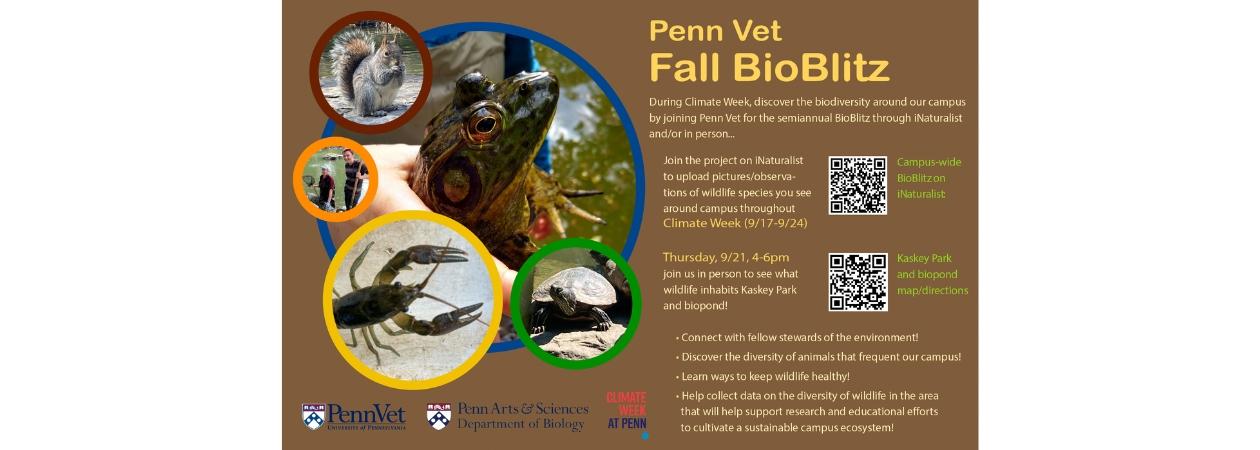 Penn Vet Fall BioBlitz with image of pond