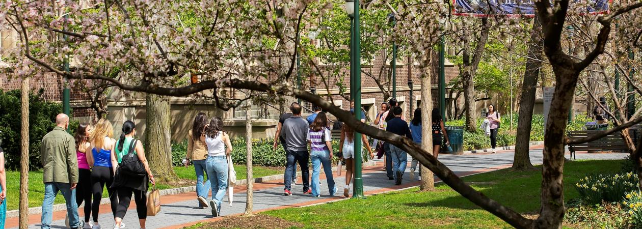 People walk under trees on Penn's campus