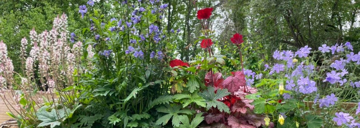 Planted container garden for railings, featuring plants that are native to the Northeast.