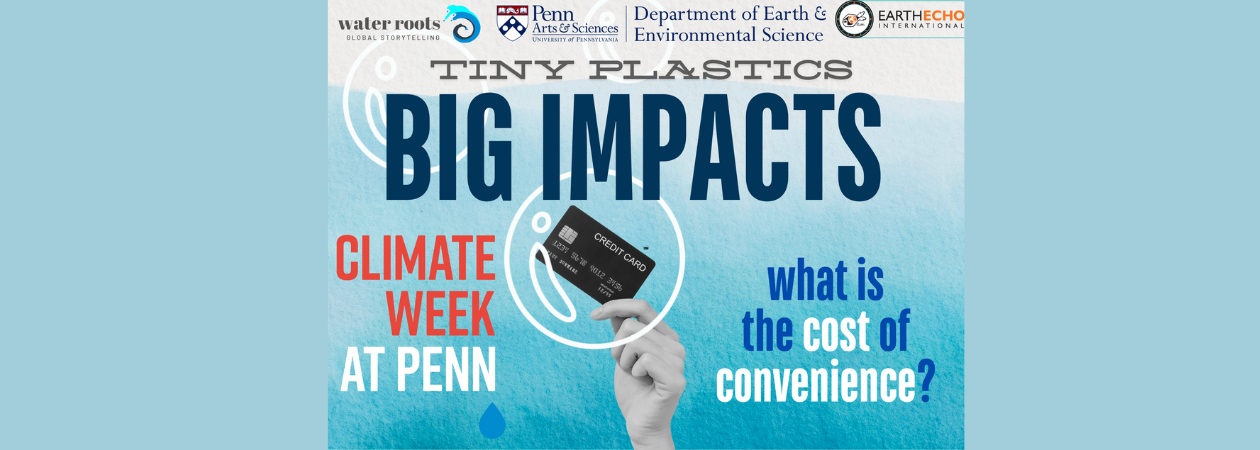 Tiny Plastics, Big Impacts Flyer