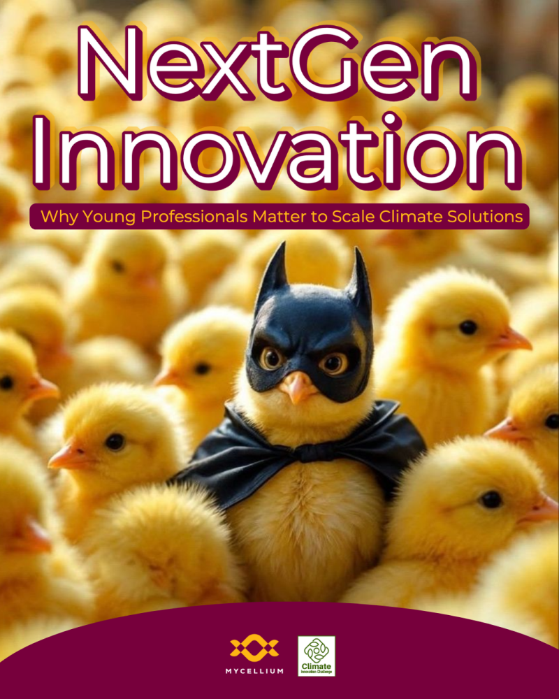 Youth-Led Innovation: Bridging Global North & South Primary tabs